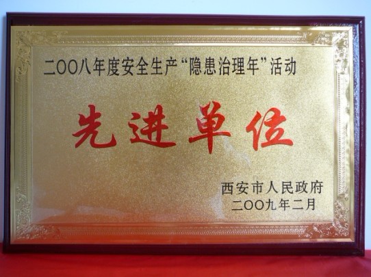 2009年2月，被西安市人民政府评为2008年度安全生产“隐患治理年”活动先进单位